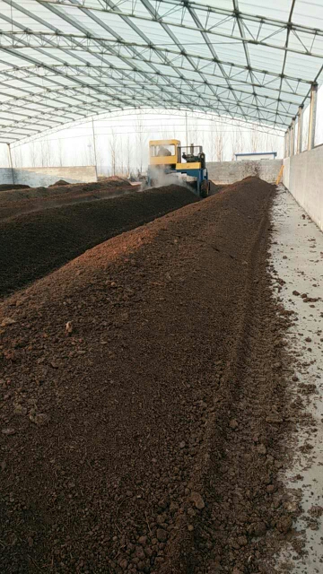 雞糞發酵有機肥的市場前景與生產策略分析