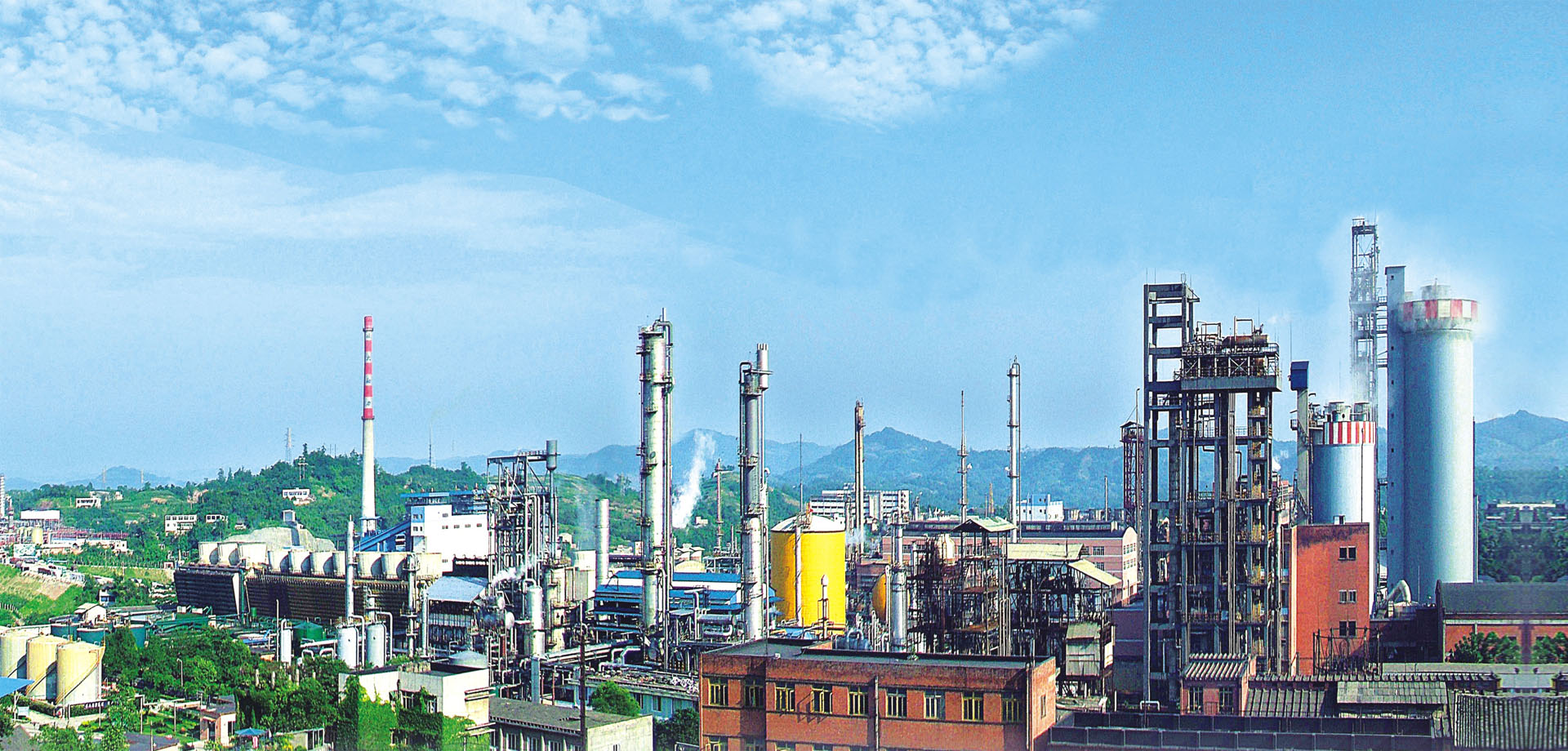 國肥行動(dòng) | 專訪瀘天化九禾馮學(xué)寧 緊跟時(shí)代步伐，勇立創(chuàng)新潮頭