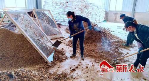 沃土富民路，生態(tài)高橋村 發(fā)展有機(jī)肥料產(chǎn)業(yè)，書寫鄉(xiāng)村振興新篇章